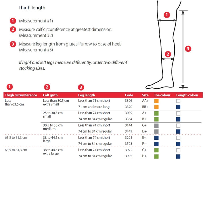 T.E.D. Thigh Length Anti–Embolism Surgical Compression Stockings with Belt