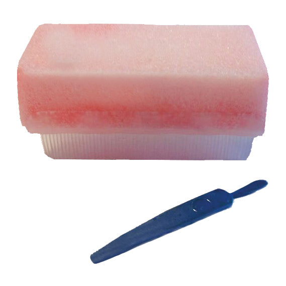 Medline 4% Chlorhexidine Impregnated Surgical Scrub Brushes | Pack of 30